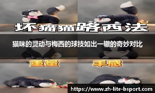 猫咪的灵动与梅西的球技如出一辙的奇妙对比